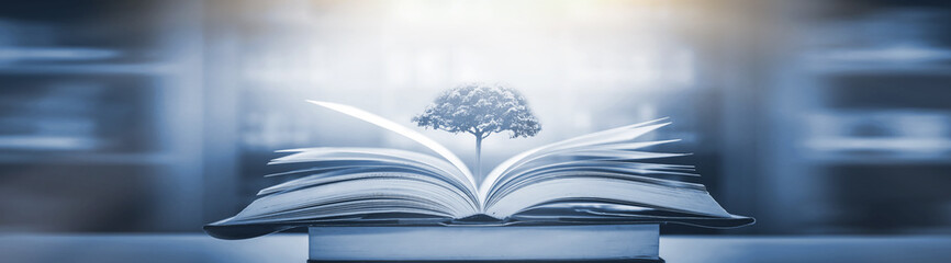 西咸新区管委会地址