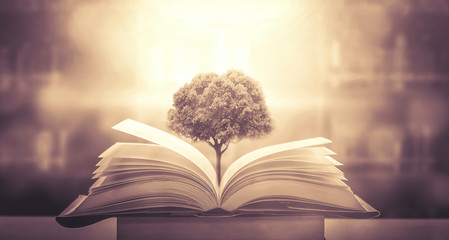 战恋雪又叫什么名字