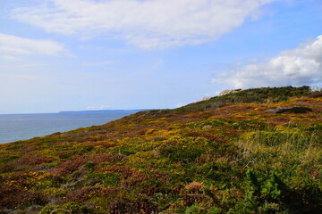 准噶尔盆地 “噶”读音