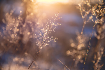 准噶尔盆地 “噶”读音