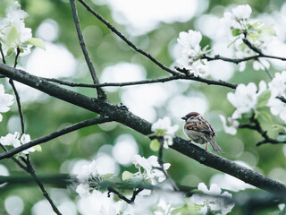 以户开头的成语有哪些