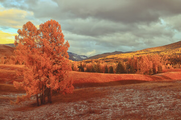 有寓意密码6位数开头