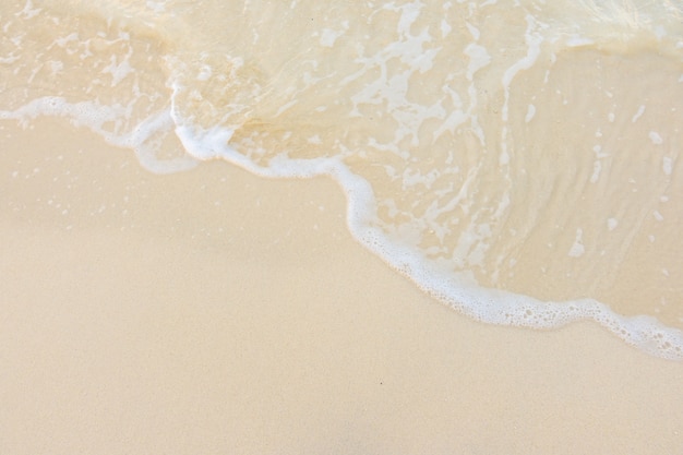 战恋雪又叫什么名字