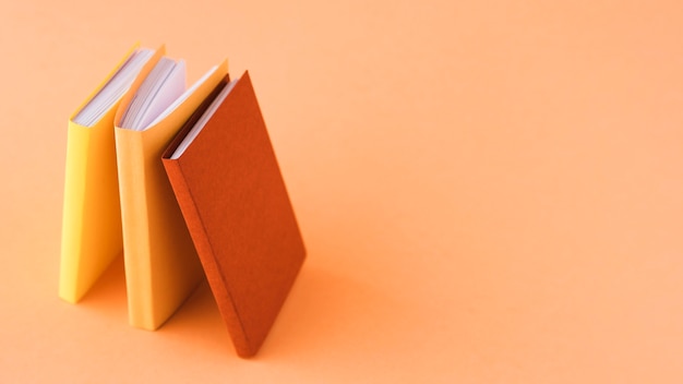 战恋雪又叫什么名字