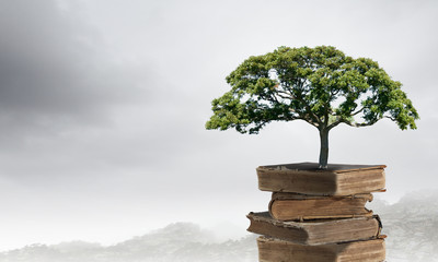 英文日期的写法